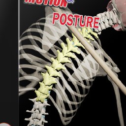 Muscle Motion 50% OFF