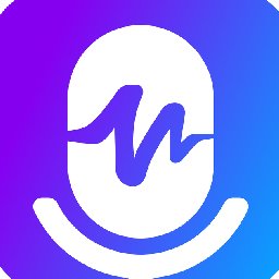 FineShare VoiceTrans 57% OFF