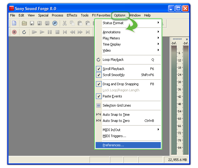 Fig. 2 - Choose Options to open the Preferences dialog box of SF 8.0