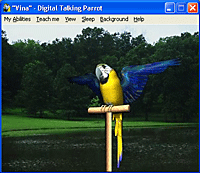 Digital Talking Parrot